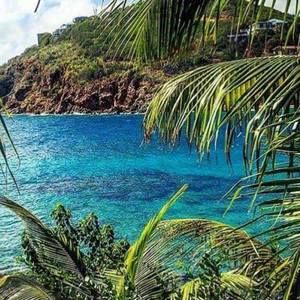 Meet your Posher, Monique